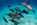 fonds marins, découverte, plongée, évasion, voyage en egypte