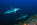 fonds marins, découverte, plongée, évasion, voyage en egypte