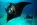 fonds marins, découverte, plongée, évasion, voyage en egypte