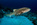 fonds marins, découverte, plongée, évasion, voyage en egypte