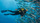 fonds marins, découverte, plongée, évasion, voyage en egypte